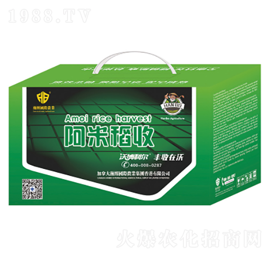 ���׵���-¡������