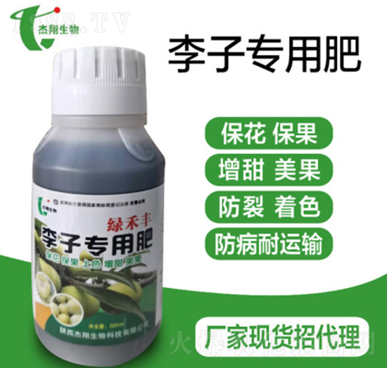 ���ӌ��÷�-�G���S-��������