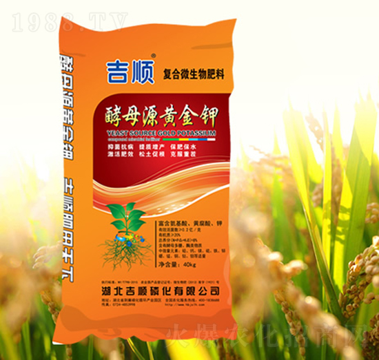 ��(f��)��΢�����-��ĸԴ�S���-���