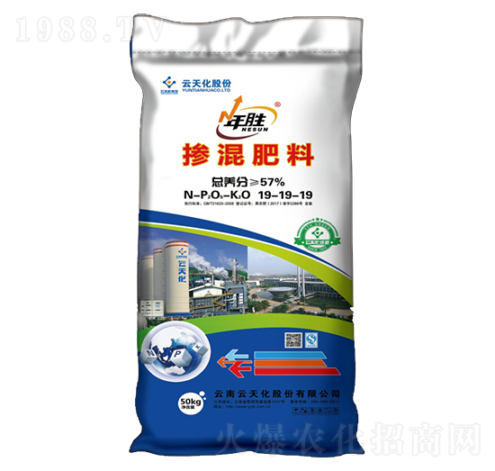 �������19-19-19-���-���o(j��)����