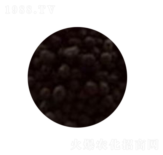 ���䌣�÷�-�������