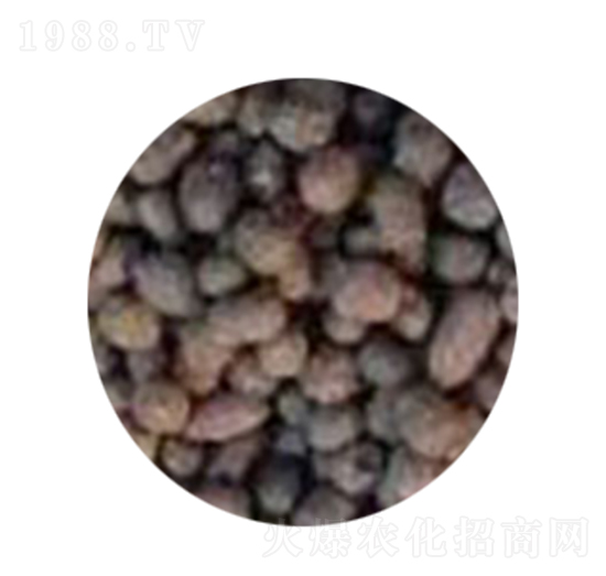 ��S�ЙC��-�������