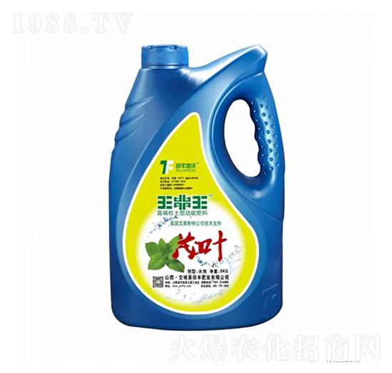 ï�~-������-���S����