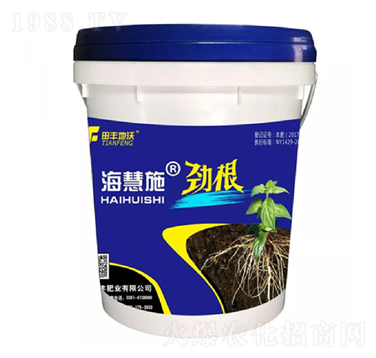 �Ÿ�-����ʩ-���S����