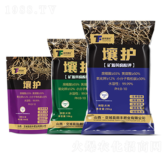 ���o-���S����-���S����