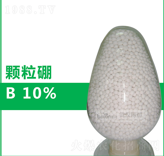 10%�w����-����(r��n)�Ƽ�