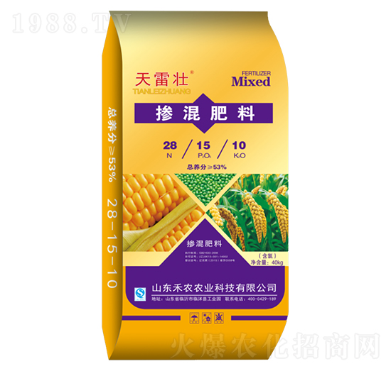 �������28-15-10-���׉�-���~�r(n��ng)�I(y��)