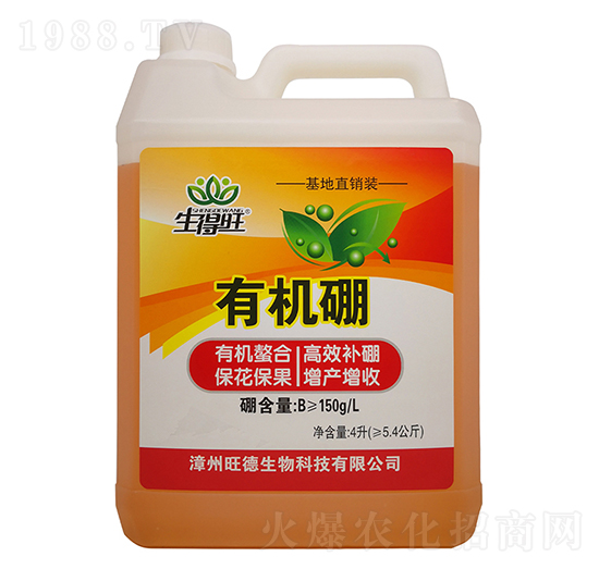 �ЙC��-������-��������