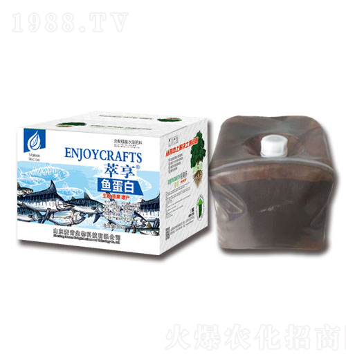 �~����-��������