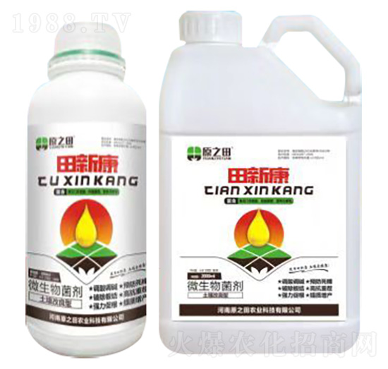 ���¿�-ԭ֮��