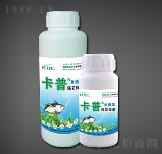 ����������ø���~����-�G�����