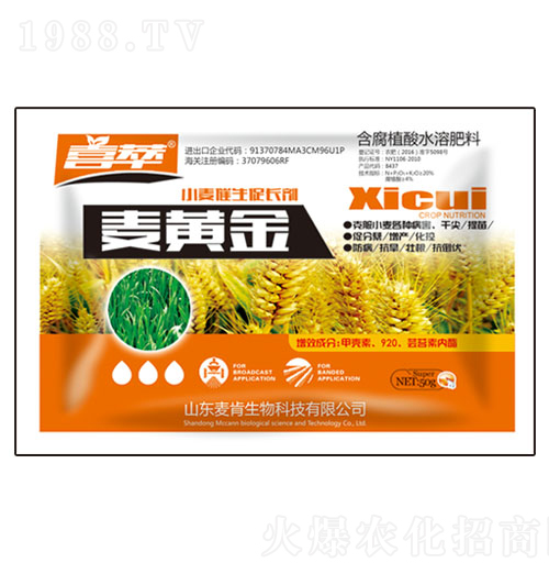 麥黃金小麥催生促長(zhǎng)劑-麥肯生物
