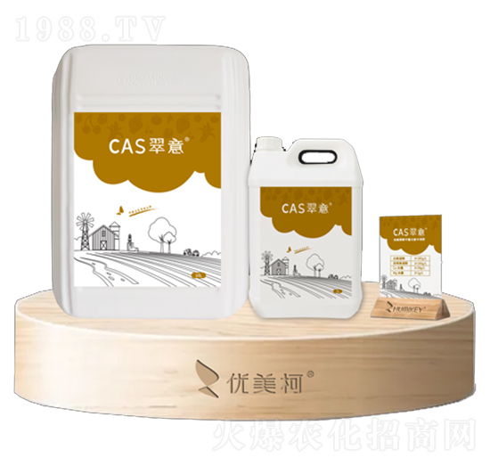 CAS����-��(y��u)����