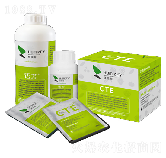 �Z��CTE-��(y��u)����