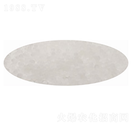 �����V-�۸�˼�_