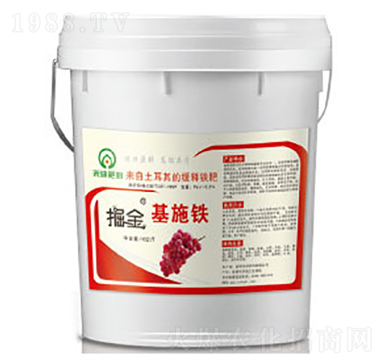 ����ʩ�F-�̵�