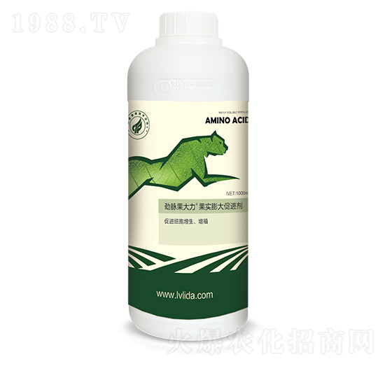 ����������ֳ���M��-������-���}