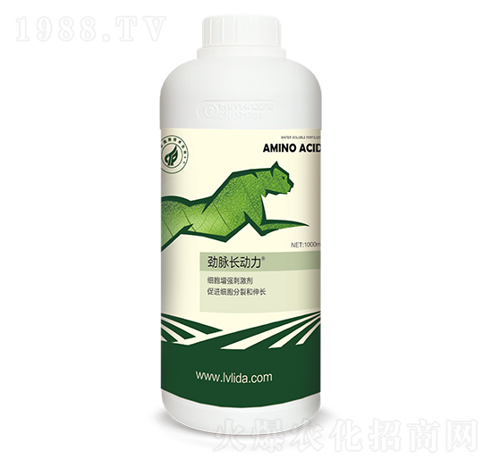 ��(x��)������(qi��ng)�̼���-�L(zh��ng)��(d��ng)��-���}