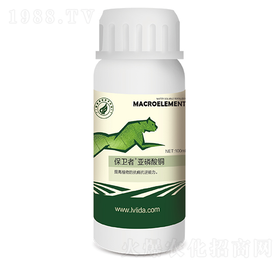 ���l(w��i)�߁������~-���}