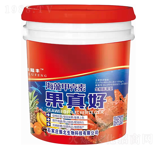 ��������ͺ���ך���-�����-������