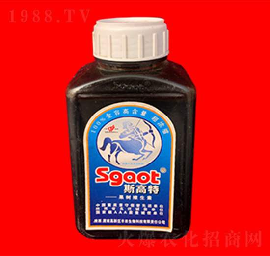 ����S����-˹����-���R�ʘI(y��)