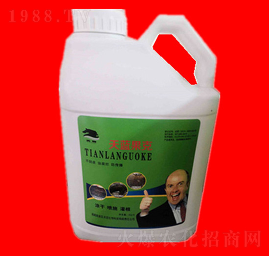 ���{����-���R�ʘI(y��)