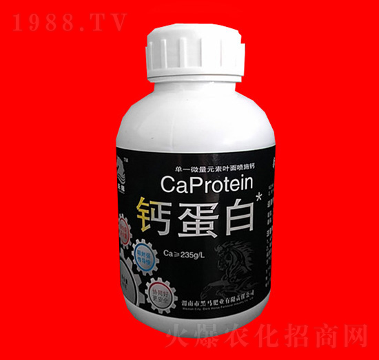 �}����-˹����-���R�ʘI(y��)