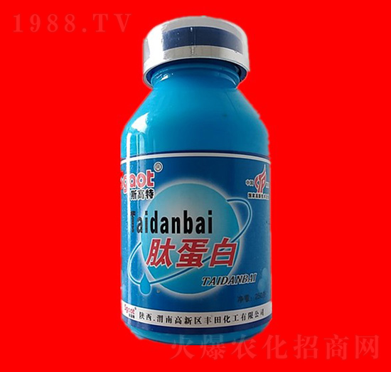 �ĵ���-˹����-���R�ʘI(y��)