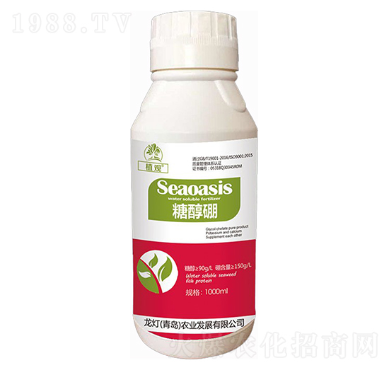 �Ǵ���-ֲ�^(gu��n)-�����r(n��ng)�I(y��)