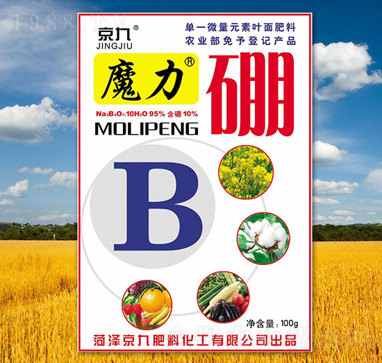 ħ����-����