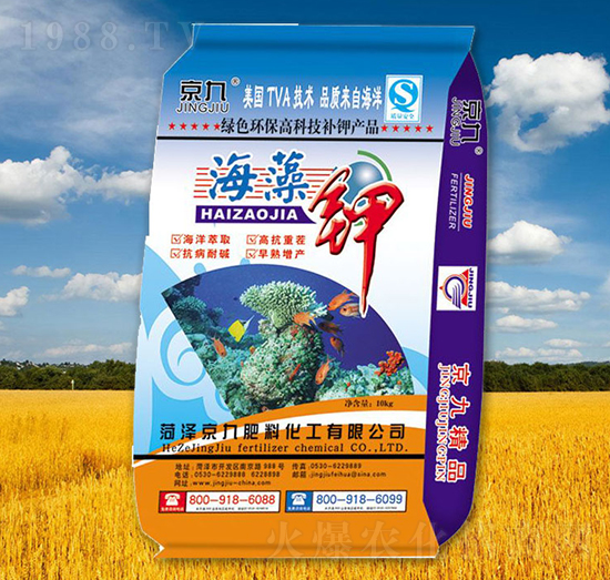 �����-����