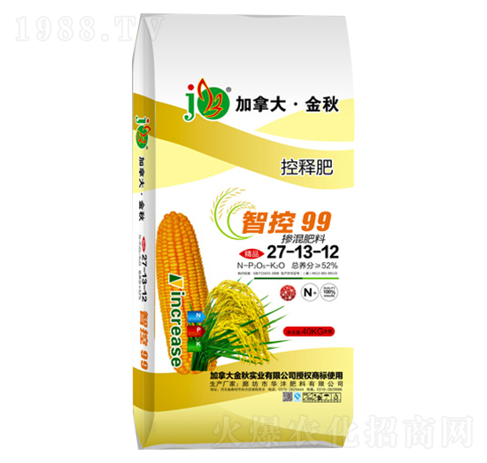 �ǿ�99�������27-13-12-�A������