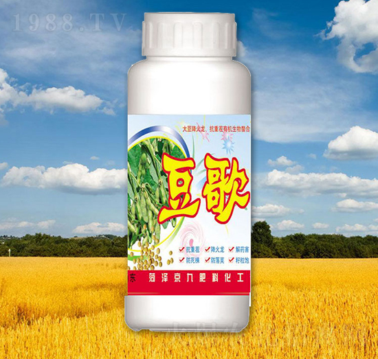 ����-����