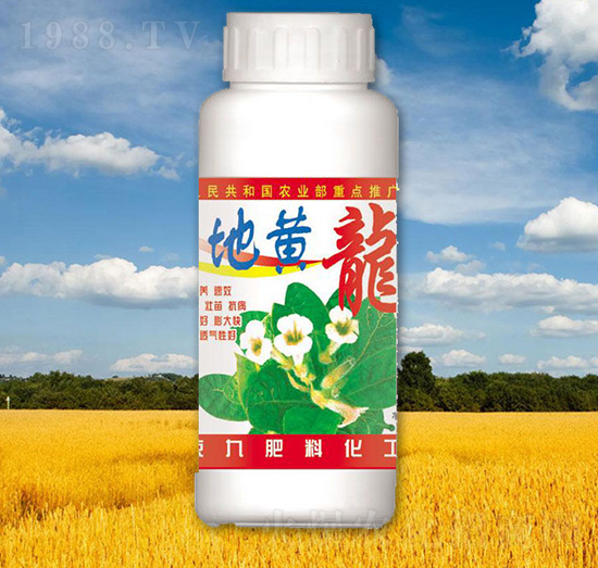 ���S��-����