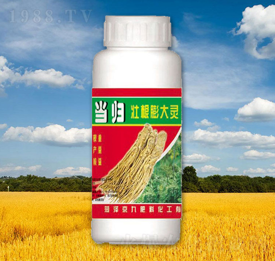 ���w�Ѹ�����`-����