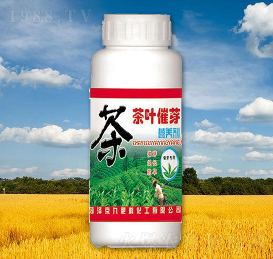 ���~��ѿ�I(y��ng)�B(y��ng)��-����