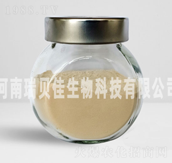 �����������i-��ؐ������