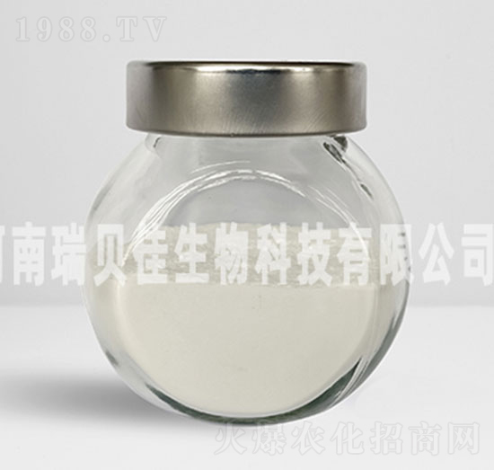 �������\���-��ؐ������