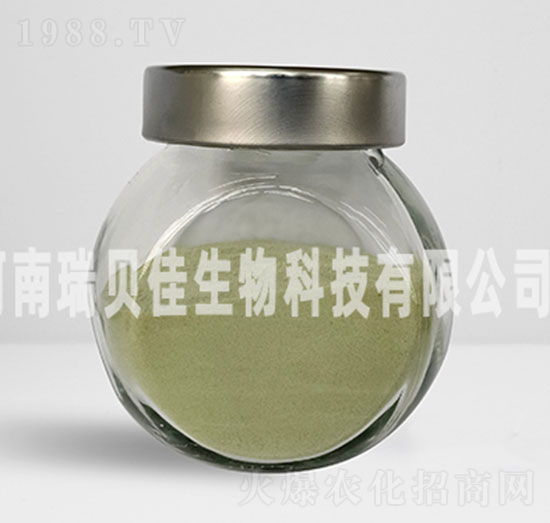 15.8%�����������}-��ؐ������