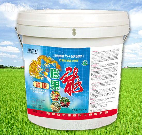 �����-����