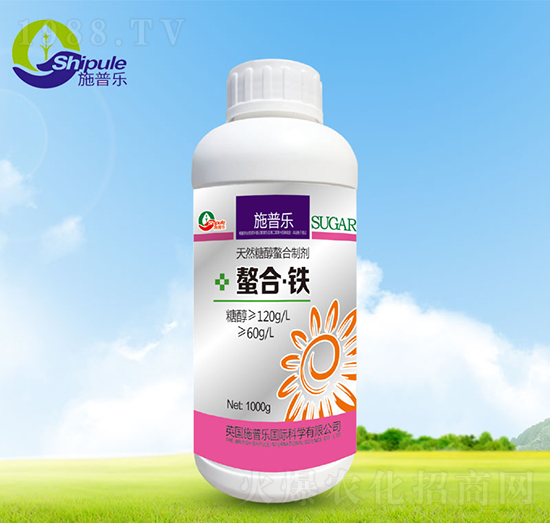 �����F-ʩ�՘�(l��)