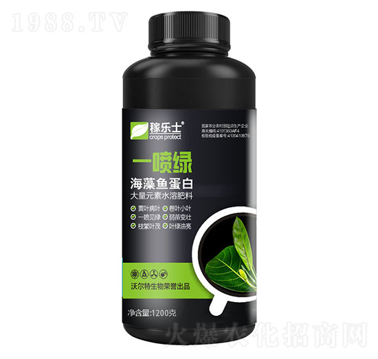 �����~����-һ���G-�ژ�ʿ-�֠���