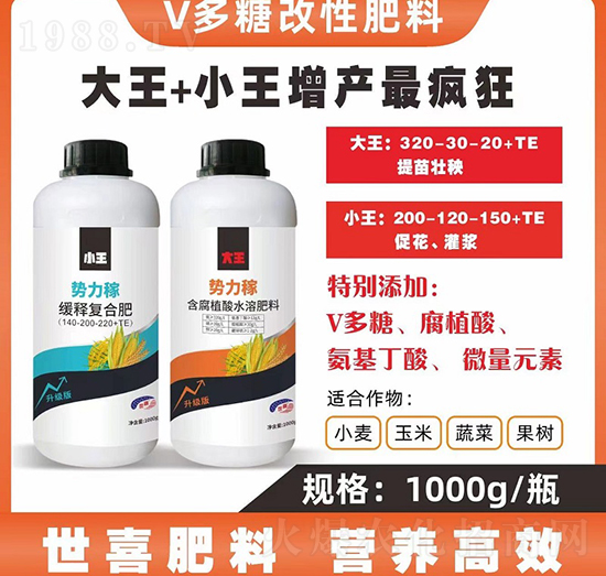 �����ھ�ጏ�(f��)�Ϸ�-��ϲ