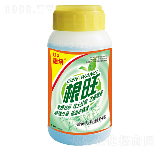 300g�������-���(y��ng)��