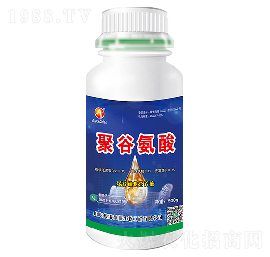 �۹Ȱ���-�W�׵�˹