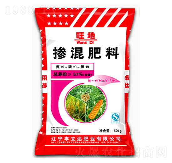 �������19-19-19-����-�S���_