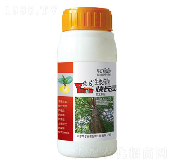 ��ľ���������������L(zh��ng)�`-�A�����Z