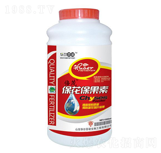 ����������-�A�����Z