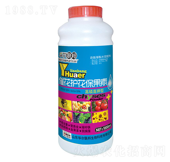 �߻��o��������-�A�����Z