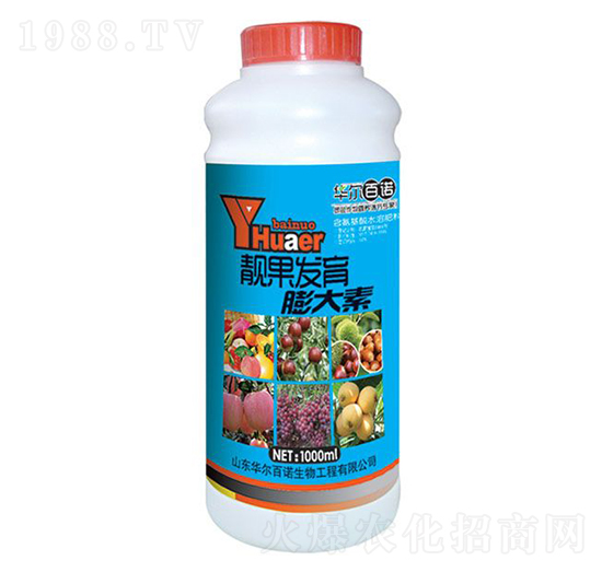 �n���l(f��)�������-�A�����Z